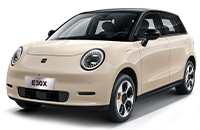 JAC е30х